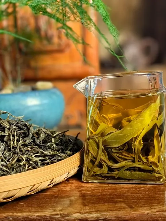 头春荒山野生茶手工茶