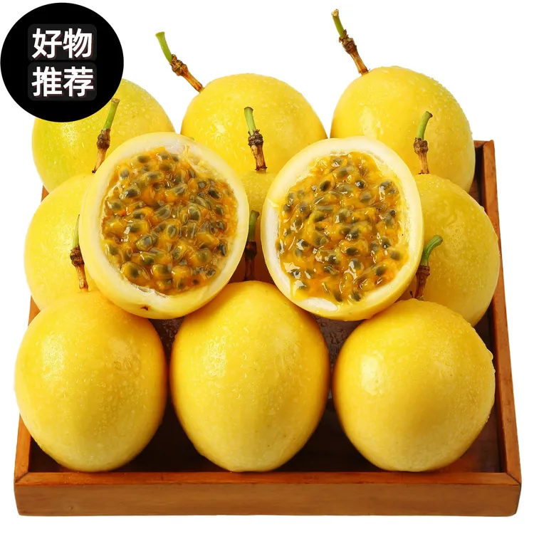 【新鲜水果】纯甜百香果--钦密九号武平百香果现摘现发新鲜新鲜水果