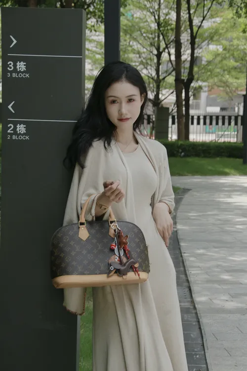 修复品LouisVuitton/路易威登【新植鞣】贝壳包中号32cm