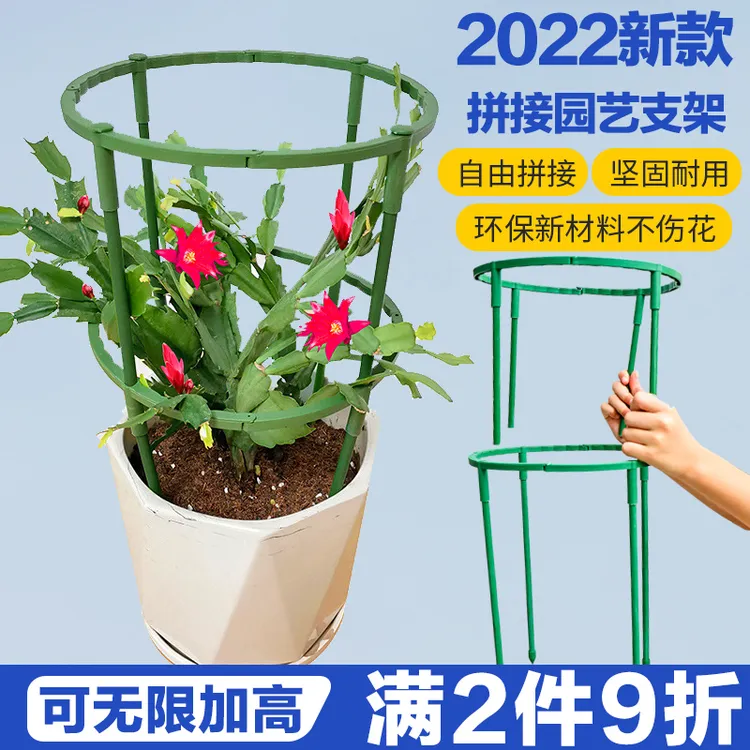 蟹爪兰花卉支架新款多层双层园艺花架兰花护叶支撑架植物爬藤
