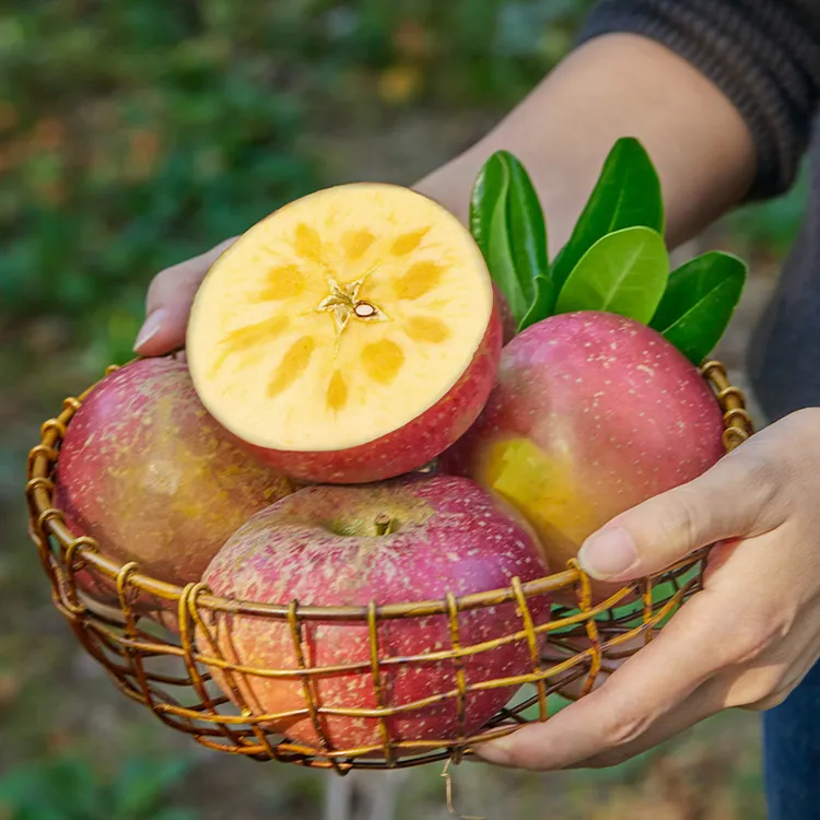 红富士冰糖心丑苹果脆甜新鲜产地直发2、5/10斤包邮云南昭通苹果