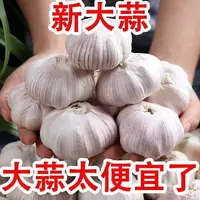 河南杞县紫白皮农家自种大蒜产地直发高品质新干蒜助农