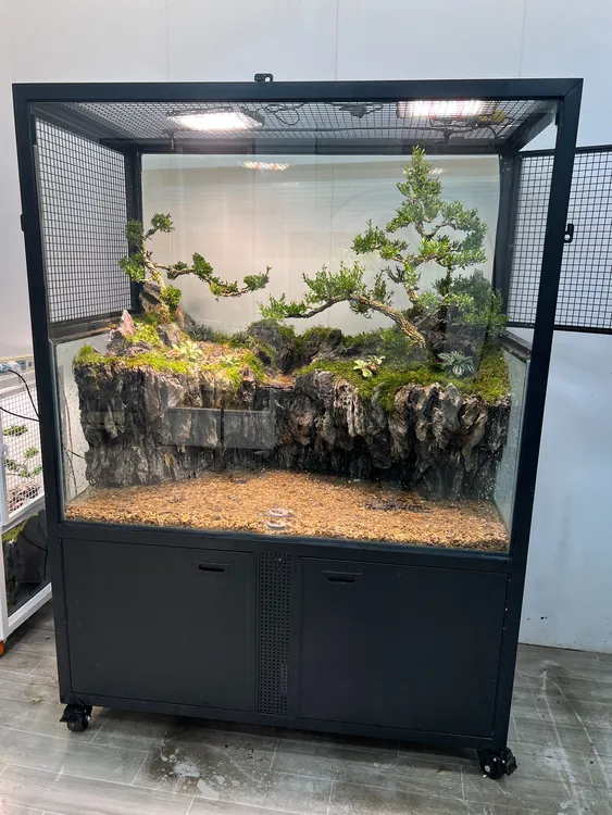 青龙石中式造景成品可用于养鱼养鸟养龟绿植微景观