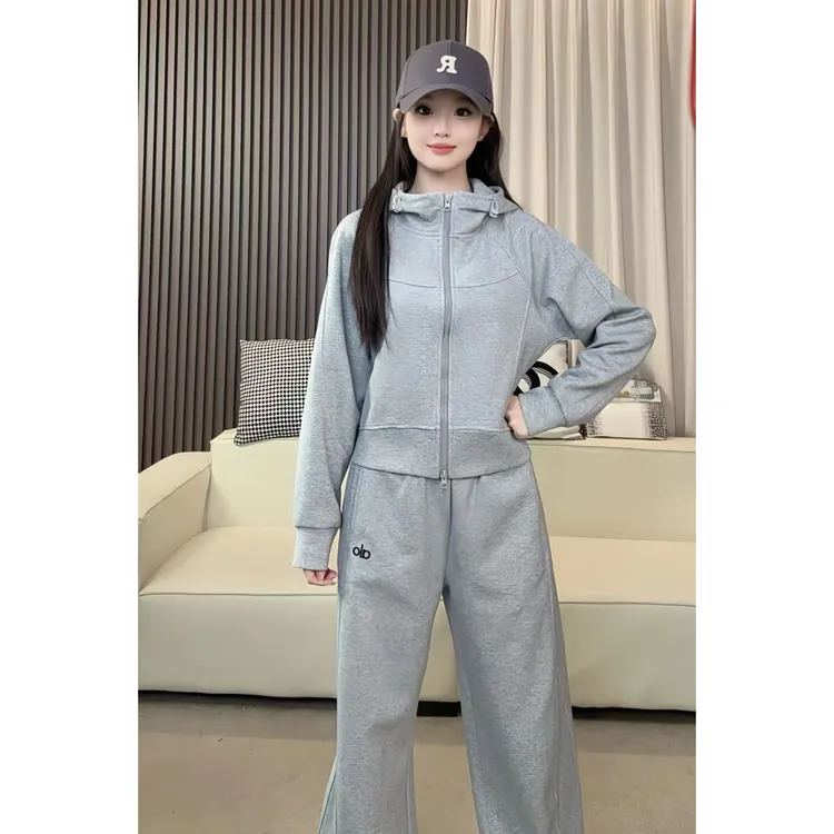 1622气质时尚休闲套装女2025新款秋装长袖连帽卫衣+直筒裤两件套