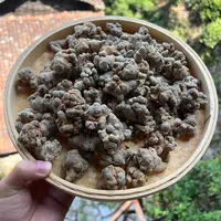 高山 农家  三七