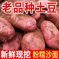 云南高山露天种植正宗红皮小土豆马铃薯红皮黄心粉糯香面现挖现发