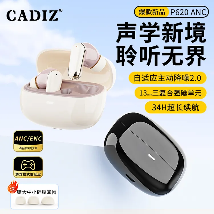 ANC主动降噪真无线耳机双麦麦克风ENC通话降噪超低重低音入耳式