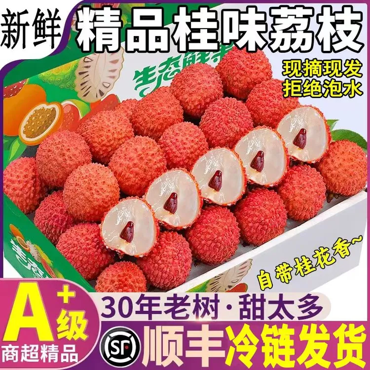 茂名高州当季白糖荔枝新鲜桂味老树现摘大果装产地顺丰冷链包邮