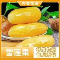 云南雪莲果5斤装源头直采自然成熟
