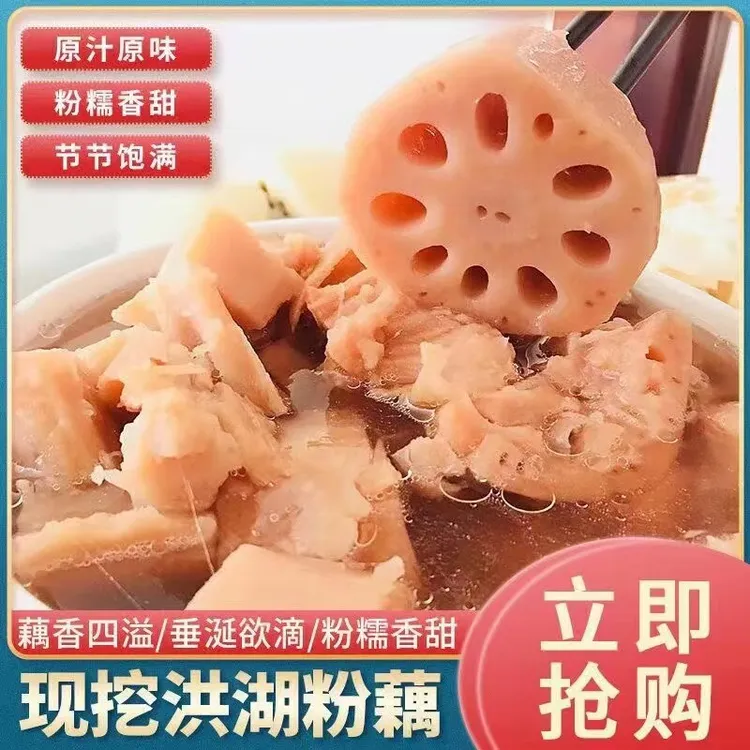 湖北洪湖现挖当季新鲜九孔粉藕煲汤粉糯香甜农产品特产