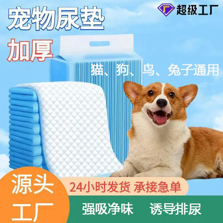 狗狗除臭尿不湿专用加厚吸水尿片兔子隔尿垫狗狗专用