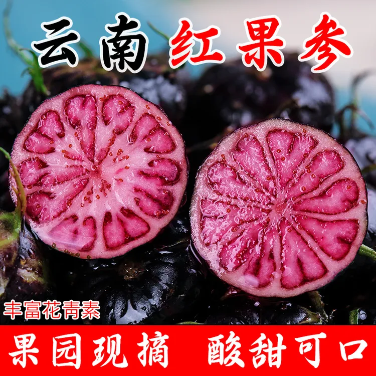 【新鲜采摘】云南文山红果参蜘蛛果算盘果当季高原稀有水果脆甜鲜嫩