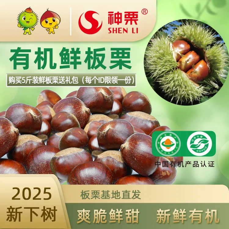 《现货先发》鲜板栗神栗2025年有机生鲜板栗