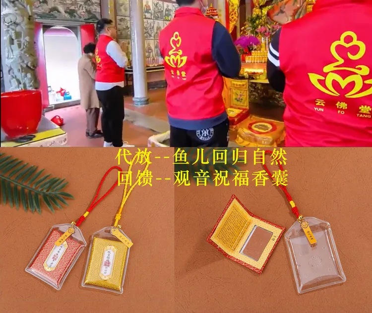 代放--鱼儿回归自然--随缘结缘香符