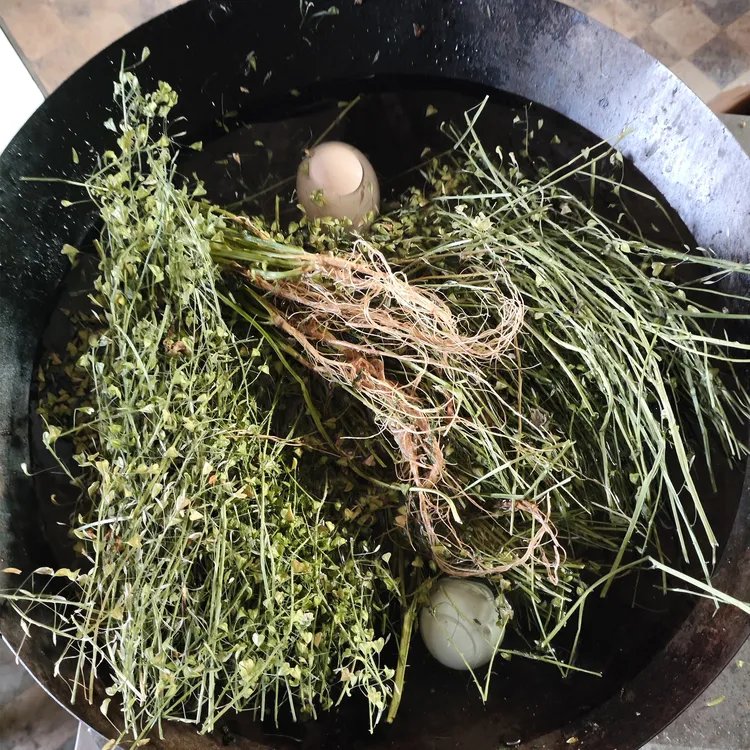 浙样爱农整棵带根老荠菜干煮鸡蛋三月三老寒陈寒月子地米菜包邮