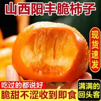 山西阳丰巧克力脆柿子当季新鲜水果12枚整箱时令红大甜硬柿子