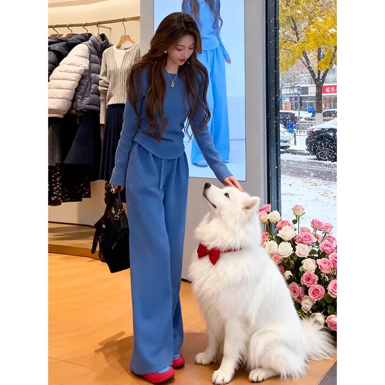 盐系轻熟风休闲运动套装女春秋修身洋气蓝色长袖上衣阔腿裤两件套