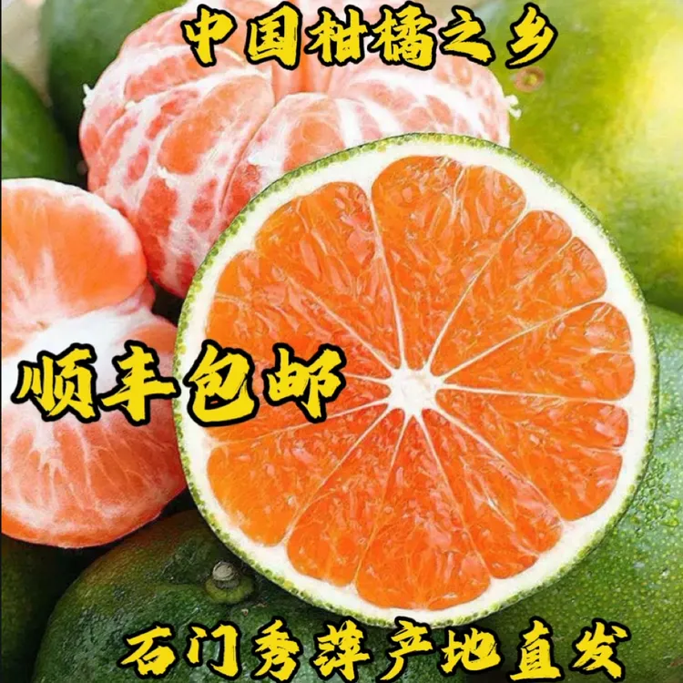 顺丰正宗湖南石门大芬四号青皮蜜桔酸甜爽口薄皮多汁当季新鲜水果