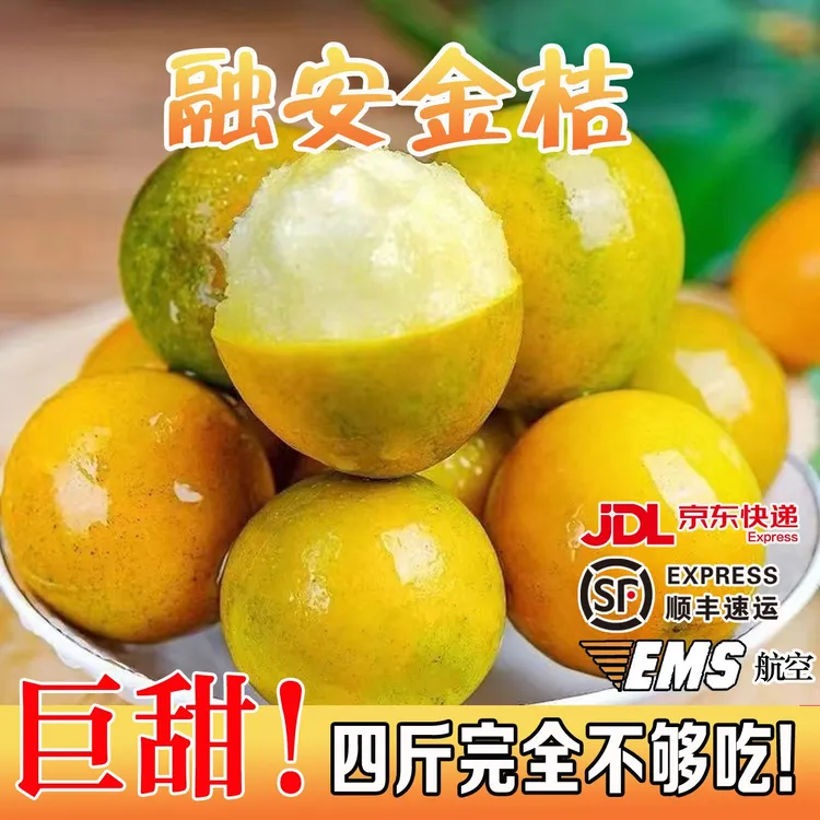 【第二代】融安滑皮金桔新鲜桔子应当季现摘水果蜜金柑桔纯甜带皮吃