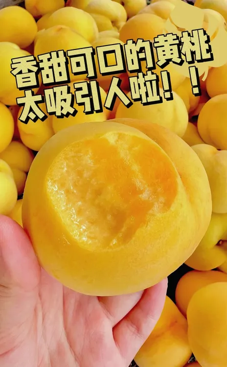 蒙阴蜜桃纯甜大黄桃新鲜水果应季爆甜黄毛黄金蜜红心黄桃软糯