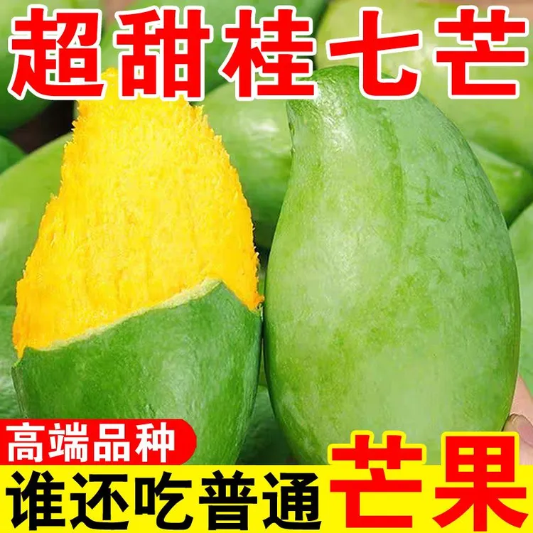 【产地直发】正宗广西百色田东桂七芒果礼盒装当季成熟薄皮水果送礼