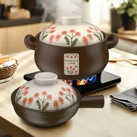 柚米一粒耐热陶瓷砂锅汤煲炖锅煮粥煲汤炖菜明火家用
