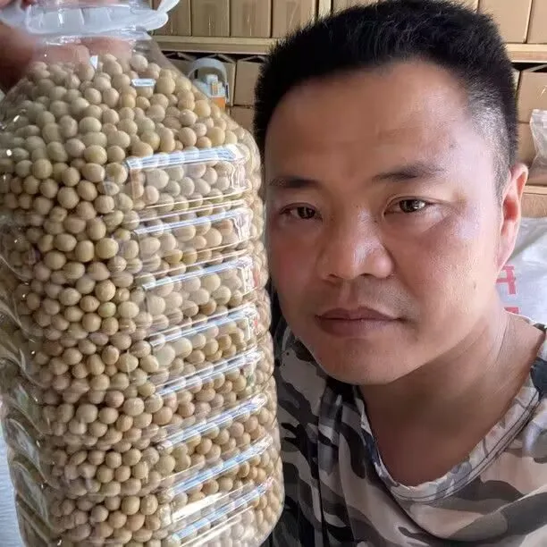 磐 安 农 家 黄 豆