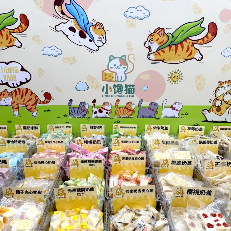 【小馋猫奶酪】高品质内蒙古特产奶制品奶酪奶疙瘩