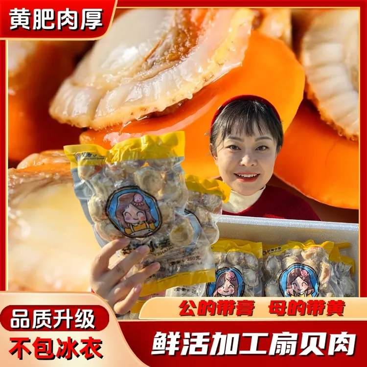 (小章推荐)大个20/40带黄新鲜熟冻扇贝肉6包*250g顺丰包邮
