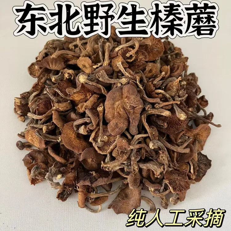 2025东北黑龙江特产野生榛蘑干货小鸡炖蘑菇自然晾晒无干燥剂