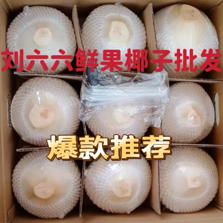 【包邮9个】正宗海南纯天然椰青，清甜解渴适合孕妇