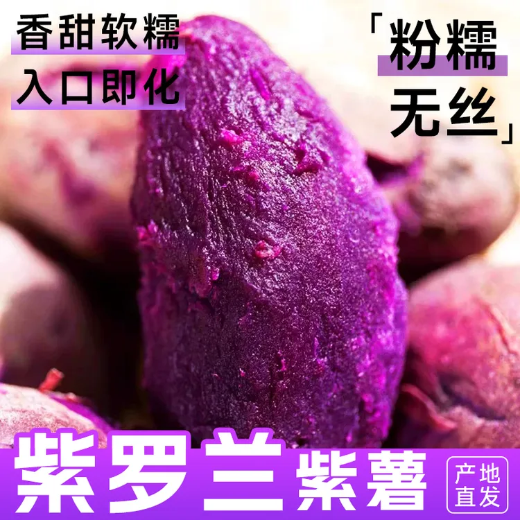 紫罗兰紫薯新鲜地瓜紫心蜜薯种薯现挖沙地板栗番薯山芋农家自种蔬