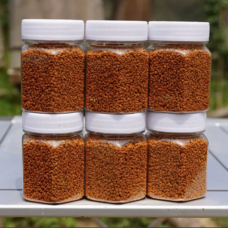 茶花粉6瓶天然纯正小蜜蜂采集的花粉茶