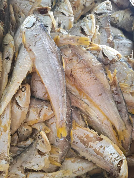 山东渤海湾自带油性锅包鱼3斤