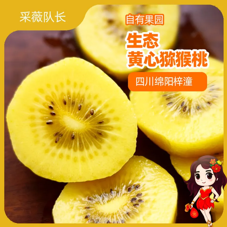 优选生态黄心猕猴桃自有果园现摘现发2025秋应季水果酸甜奇异果