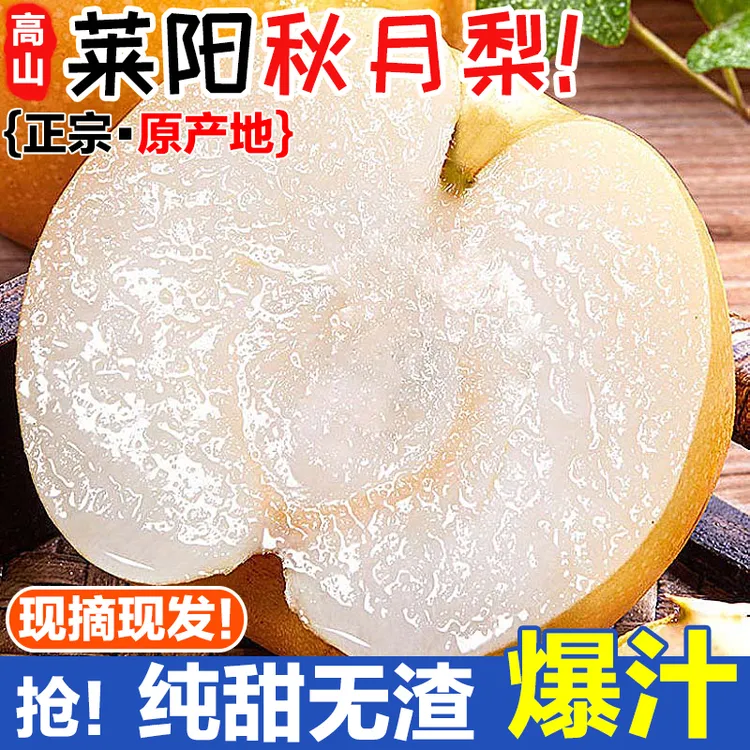 【莱阳秋月梨】正宗秋月梨纯甜爆汁细腻无渣当应季新鲜水果批发礼盒