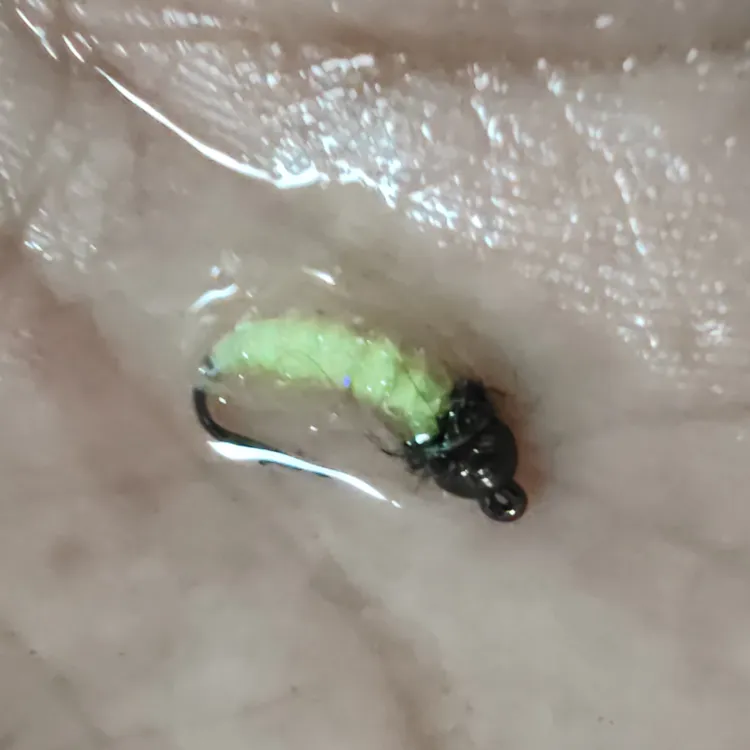 手工沉水飞蝇钩茴鱼雅罗鳟鱼饵钨头珠加重若虫钩