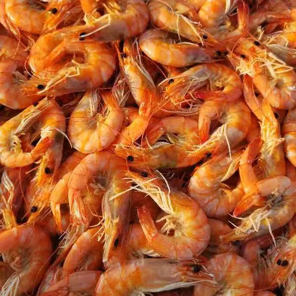 浙江乐清湾本地养殖虾干