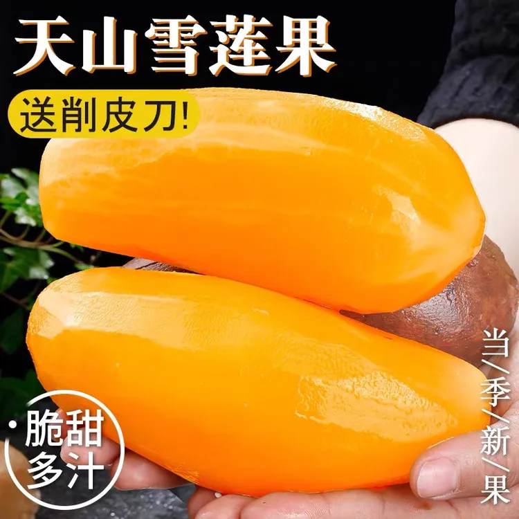 25新果精品特级云南天山黄心雪莲果新鲜水果脆甜多汁孕妇应季水果