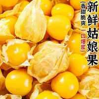 【东北头茬姑娘果】东北产地直发新鲜现摘姑娘果清甜多汁营养好吃