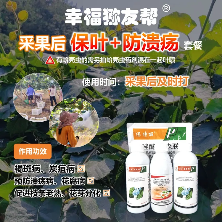 采果后强效保叶防溃疡套餐
