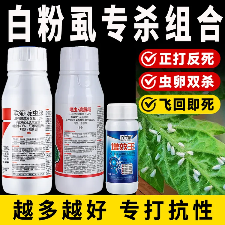  白粉虱专用果树辣椒黄瓜蔬菜植物蚜虫蓟马小黑飞跳甲农药杀虫剂