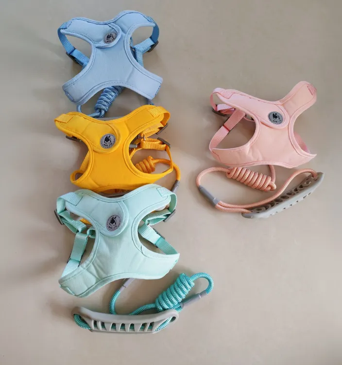 中小型犬狗狗牵引绳背带式泰迪比熊宠物遛狗项圈