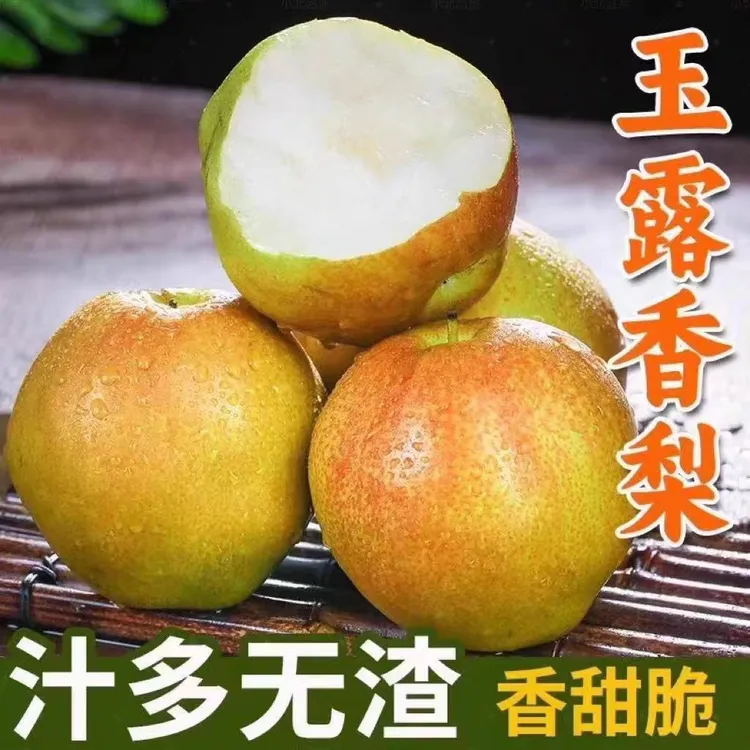 玉露香梨新鲜香梨4.5/8.5斤新鲜应季水果产地直发脆甜多汁黄蜜梨