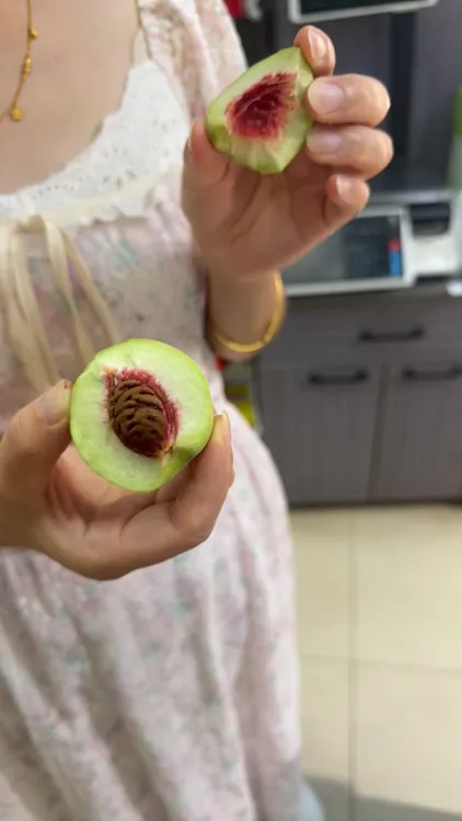 新鲜土毛桃无嫁接原味