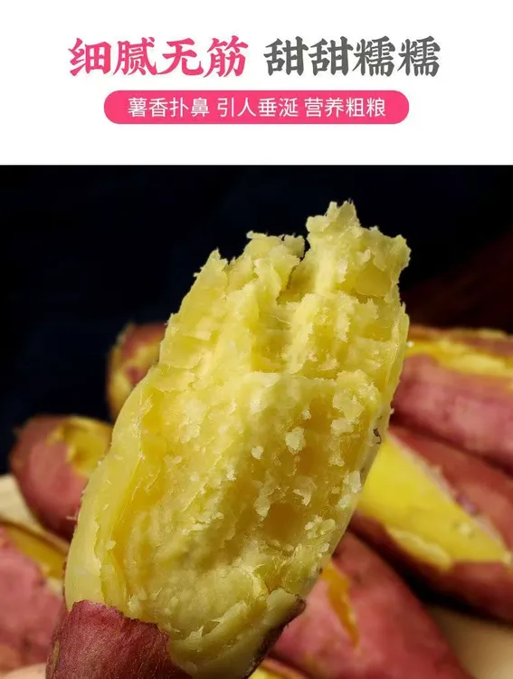 陕西正宗农家自种沙地板栗红薯新鲜现挖粉糯香甜糖心蜜薯辅食代餐