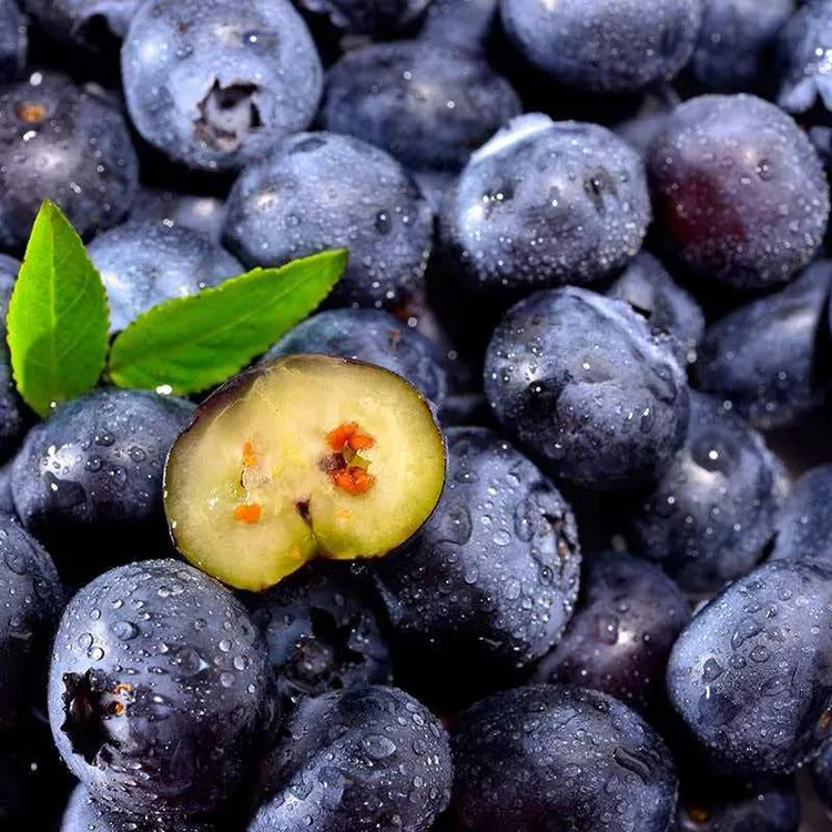 云南正宗L25花香蓝莓脆甜新鲜现摘现发应季水果