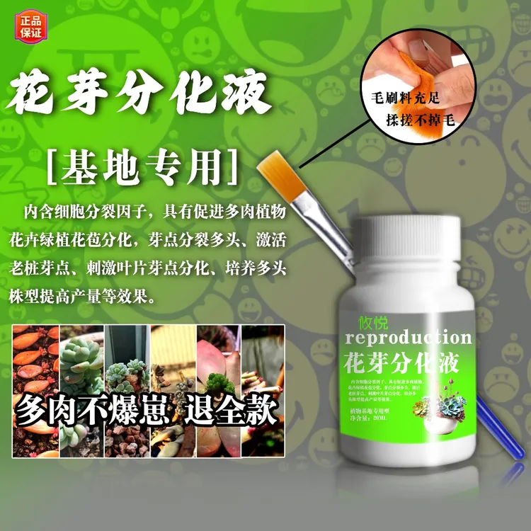 【不爆崽退全款】多肉绿植鲜花专用花芽分化液基地款