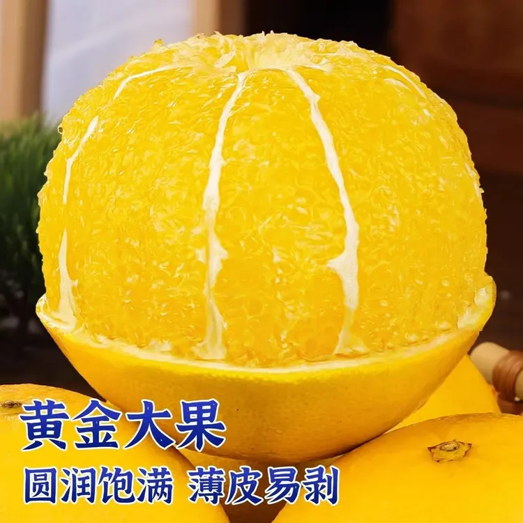 (清甜爆汁)福建平和爆汁葡萄柚香甜新鲜当季水果清甜多汁