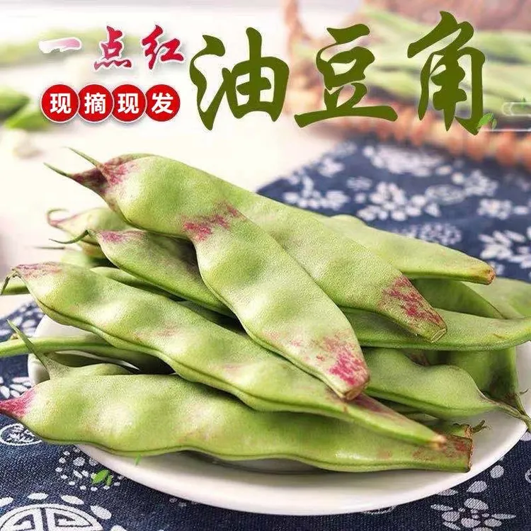 东北新鲜油豆角现摘农家应季蔬菜一点红油豆角2/3/5斤云南种植